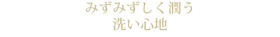 リヴィエラボディソープ PM