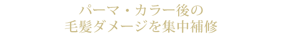 リヴィエラトリートメント LG